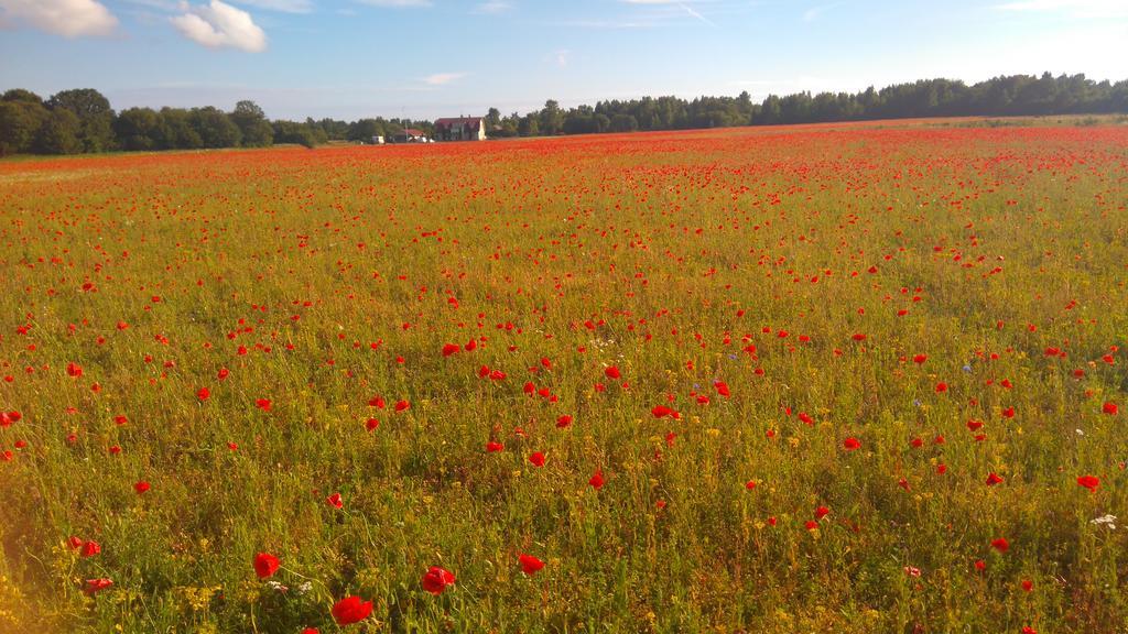 Kuke Holiday Home Muratsi Zewnętrze zdjęcie